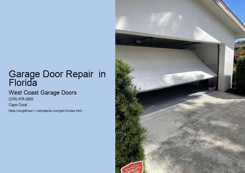 Best Garage Door Repair Techniques